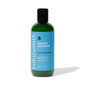 Colorsmith Protect Shampoo thumbnail